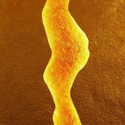 Holländer ERUPTION Wandleuchte LED Rot, Gold, 1-flammig -Wandleuchten Verkauf hollaender eruption wandleuchte 300 k 13230 3