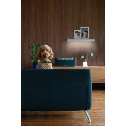 LEDVANCE LINEAR SHELF Wandleuchte Weiß, 1-flammig