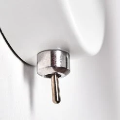 Hofstein Safari Wandleuchte Weiß, 1-flammig -Wandleuchten Verkauf safari wandleuchte h3012826 do4 16