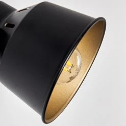 Hofstein Safari Wandleuchte Schwarz, 1-flammig -Wandleuchten Verkauf safari wandleuchte h3012864 do4 26